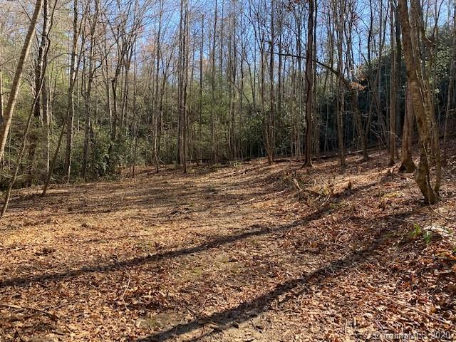 Property image 3 at 0000 Silverglen Way, Hendersonville, NC 28792