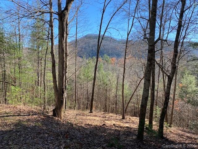 Property image 4 at 0000 Silverglen Way, Hendersonville, NC 28792