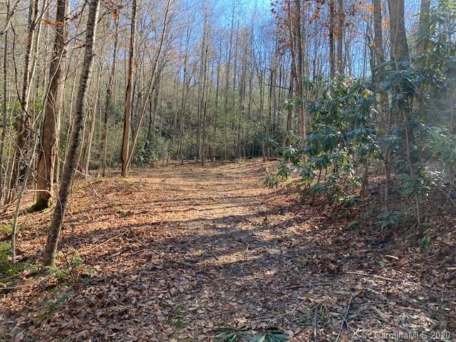 Property image 5 at 0000 Silverglen Way, Hendersonville, NC 28792