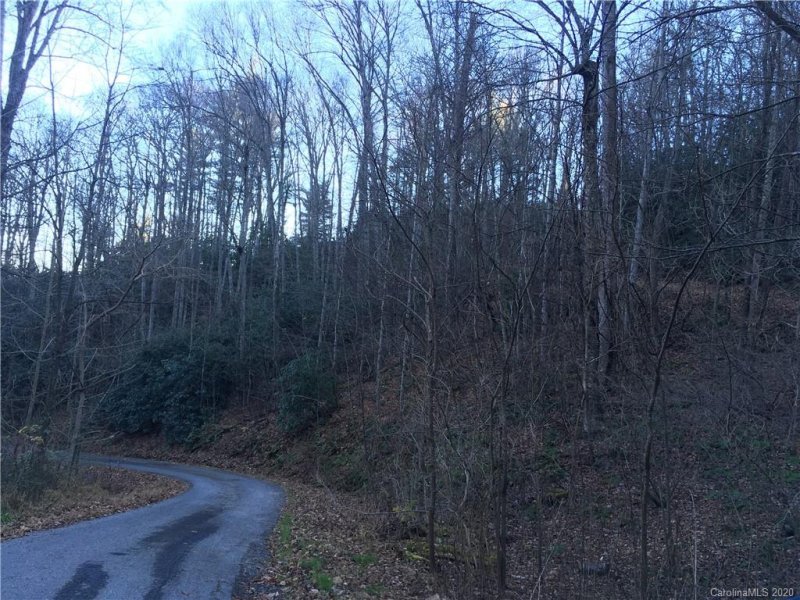Property image 2 at Lot 58 Frank Davis Road, Waynesville, NC 28785