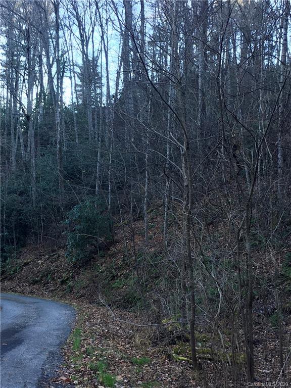 Property image 3 at Lot 58 Frank Davis Road, Waynesville, NC 28785