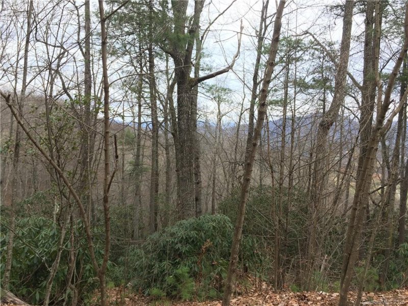 Property image 4 at Lot 58 Frank Davis Road, Waynesville, NC 28785
