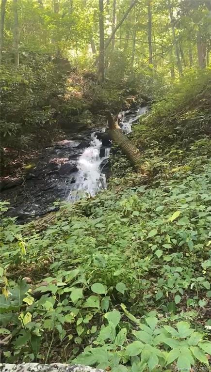 Property image 2 at 9999 Lytle Cove Road, Swannanoa, NC 28778