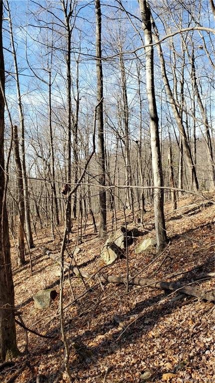 Property image 2 at 0 Doubleview Drive, Union Mills, NC 28167