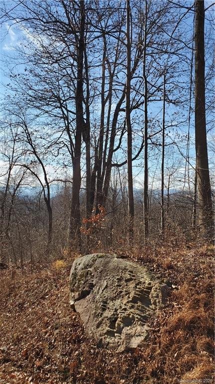 Property image 3 at 0 Doubleview Drive, Union Mills, NC 28167