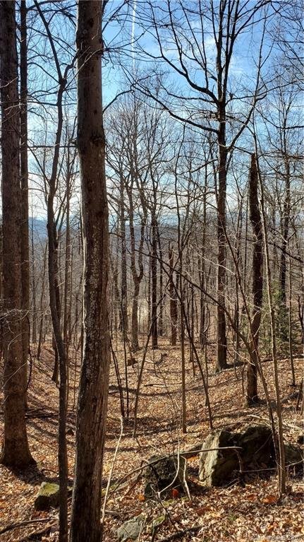 Property image 4 at 0 Doubleview Drive, Union Mills, NC 28167