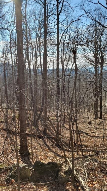 Property image 5 at 0 Doubleview Drive, Union Mills, NC 28167