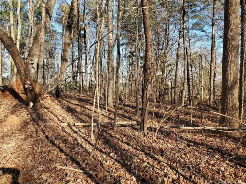 Property image 3 at 106 Dogwood Court, Morganton, NC 28655