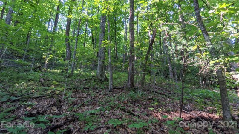 Property image 2 at 99999 Sand Branch Road, Black Mountain, NC 28711
