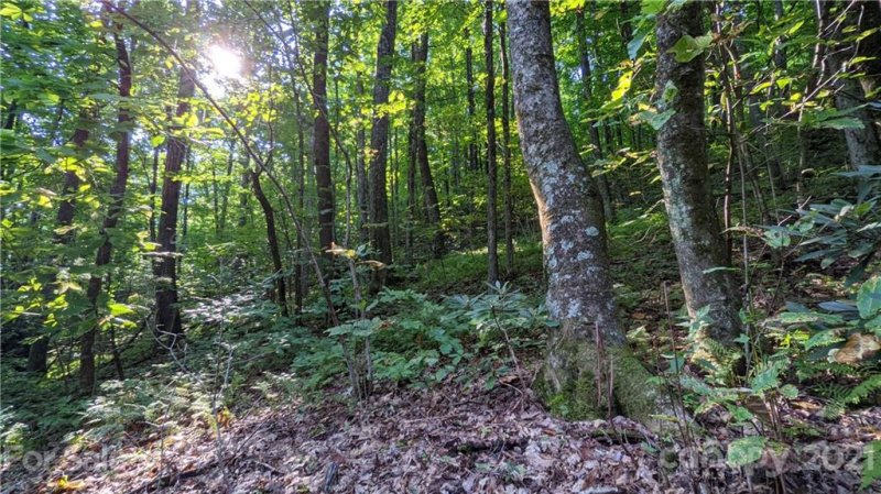 Property image 3 at 99999 Sand Branch Road, Black Mountain, NC 28711