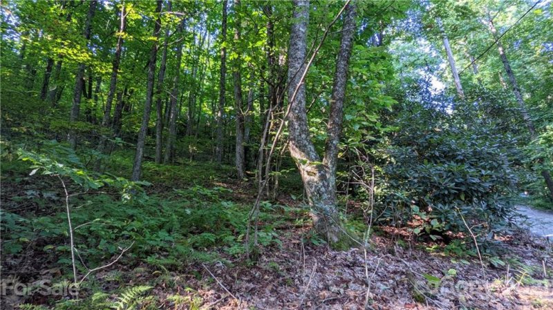 Property image 4 at 99999 Sand Branch Road, Black Mountain, NC 28711