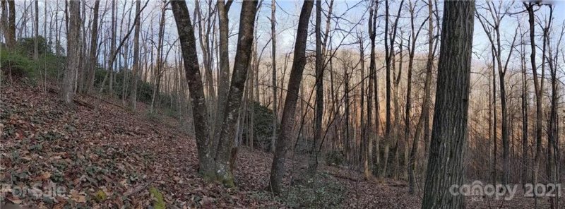 Property image 5 at 99999 Sand Branch Road, Black Mountain, NC 28711
