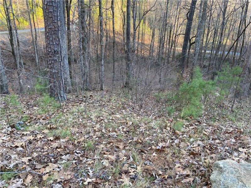 Property image 2 at 0 Bills Mountain Trail, Lake Lure, NC 28746
