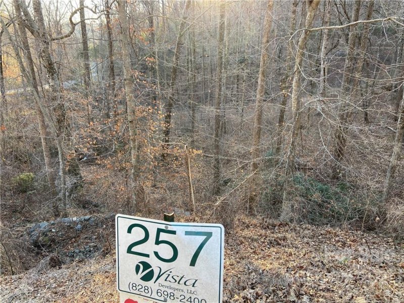 Property image 3 at 0 Bills Mountain Trail, Lake Lure, NC 28746