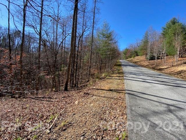 Property image 4 at 0000 Silverglen Way, Hendersonville, NC 28792