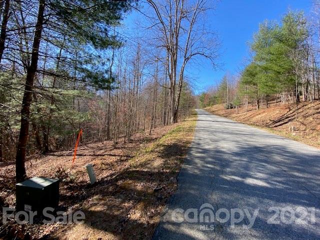 Property image 5 at 0000 Silverglen Way, Hendersonville, NC 28792