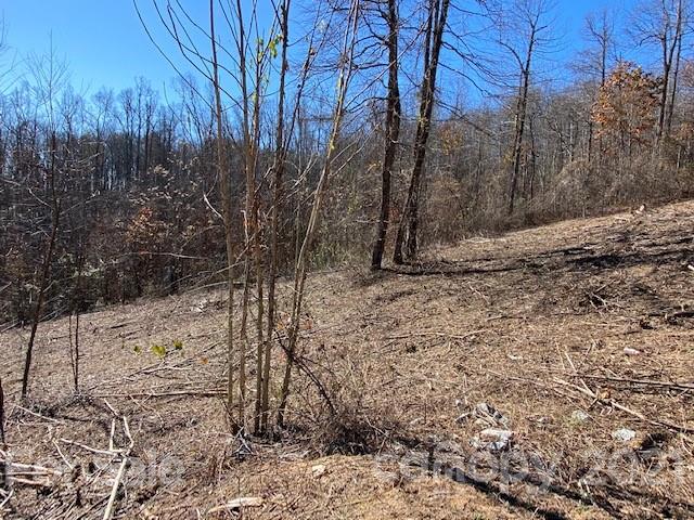 Property image 2 at 0000 Glen Haven Cove, Hendersonville, NC 28792