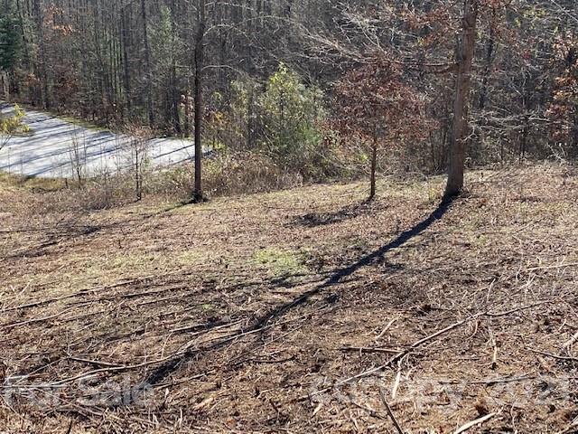 Property image 3 at 0000 Glen Haven Cove, Hendersonville, NC 28792