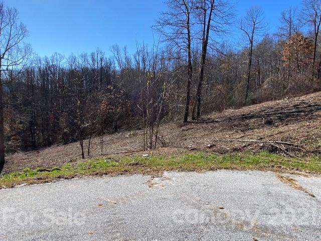 Property image 4 at 0000 Glen Haven Cove, Hendersonville, NC 28792