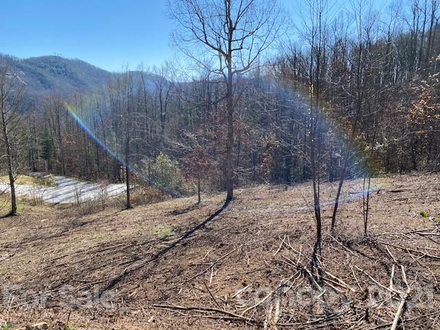 Property image 5 at 0000 Glen Haven Cove, Hendersonville, NC 28792