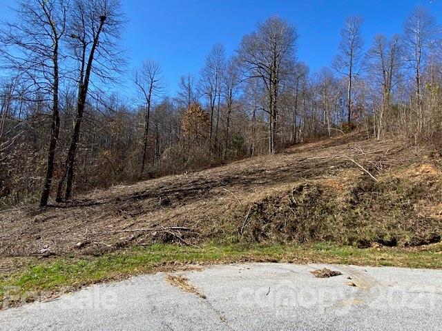 Property image 3 of 0000 Silverglen Way in Silverglen, Hendersonville, NC 28792