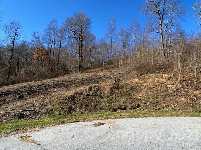 Property image 5 of 0000 Silverglen Way in Silverglen, Hendersonville, NC 28792