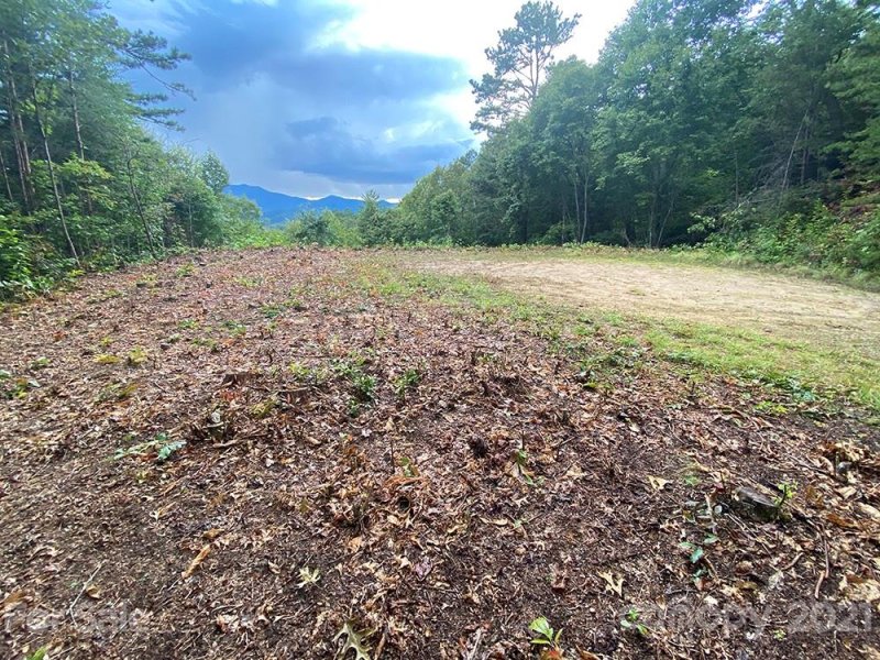 Property image 4 at 507 Wood Duck Way, Whittier, NC 28789