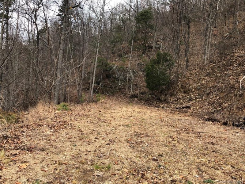 Property image 5 at 00 Big Rock Road, Bostic, NC 28018