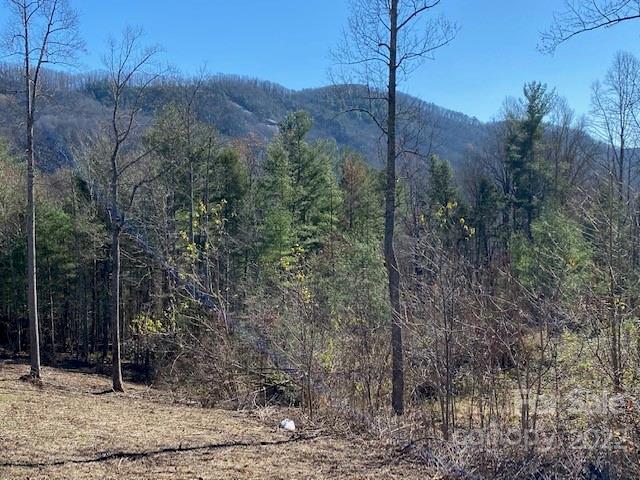 Property image 2 at 0000 Silverglen Way, Hendersonville, NC 28792