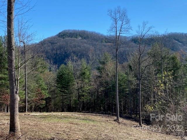 Property image 4 at 0000 Silverglen Way, Hendersonville, NC 28792