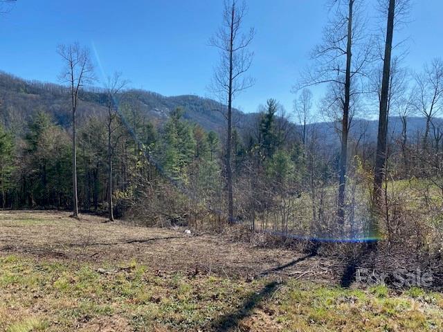 Property image 5 at 0000 Silverglen Way, Hendersonville, NC 28792