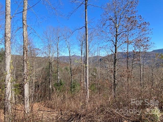 Property image 2 at 0000 Silverglen Way, Hendersonville, NC 28792