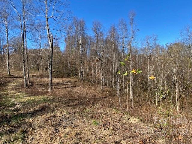 Property image 4 at 0000 Silverglen Way, Hendersonville, NC 28792