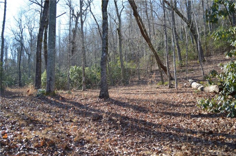 Property image 5 at 9999 Laurel Mountain Trail, Black Mountain, NC 28711