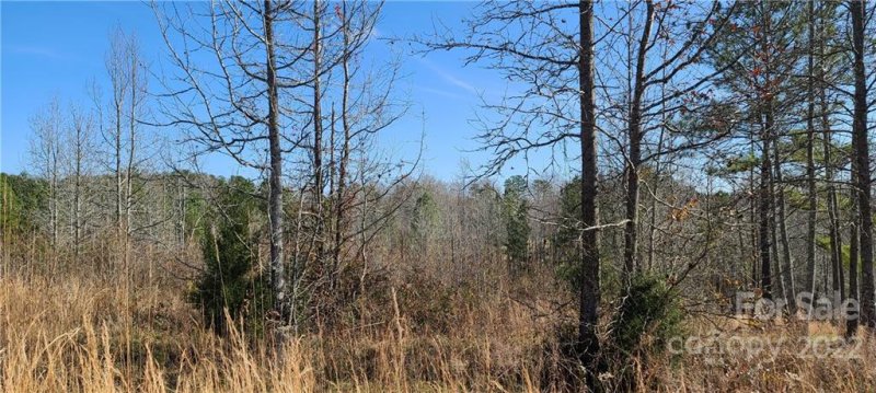 Property image 2 at 00 Doveridge Drive, Columbus, NC 28722