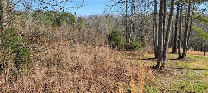 Property image 3 at 00 Doveridge Drive, Columbus, NC 28722