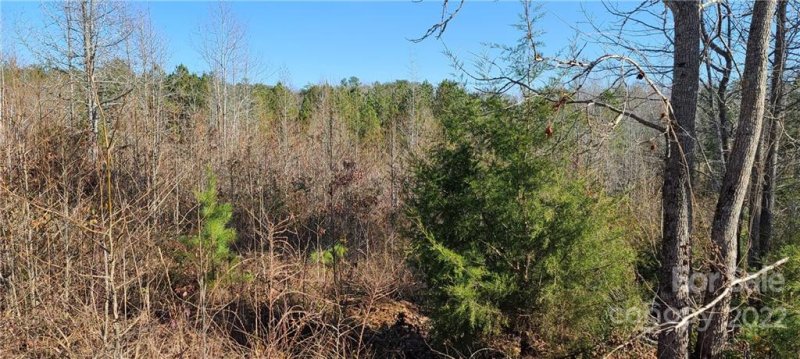 Property image 4 at 00 Doveridge Drive, Columbus, NC 28722