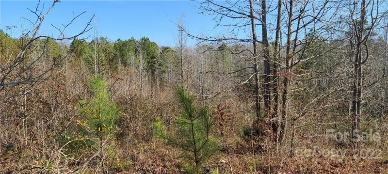 Property image 5 at 00 Doveridge Drive, Columbus, NC 28722