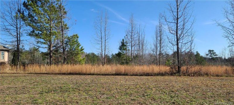 Property image 2 at 000 Doveridge Drive, Columbus, NC 28722