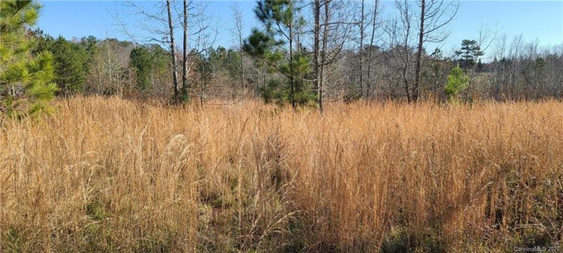 Property image 3 at 000 Doveridge Drive, Columbus, NC 28722