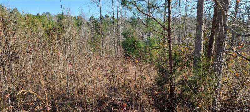 Property image 5 at 000 Doveridge Drive, Columbus, NC 28722