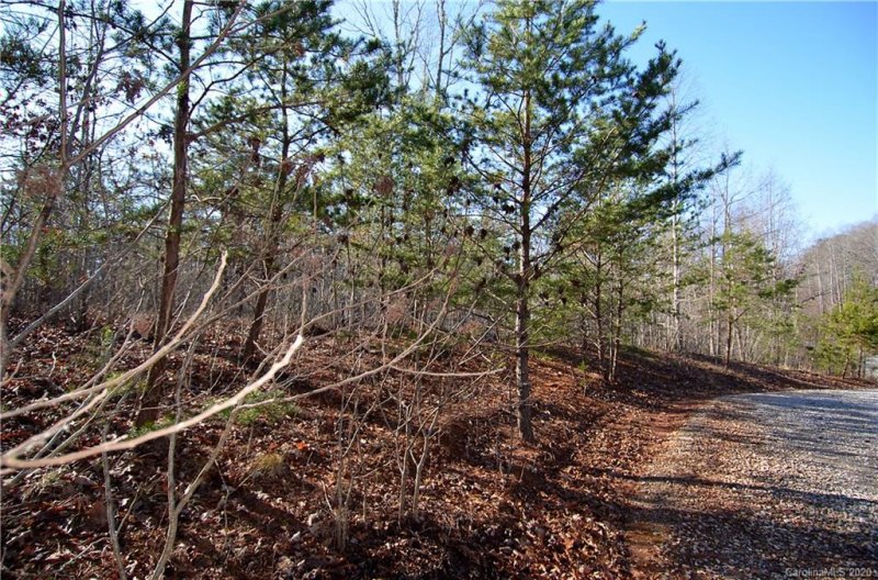 Property image 2 at 00 Darrow Drive, Nebo, NC 28761