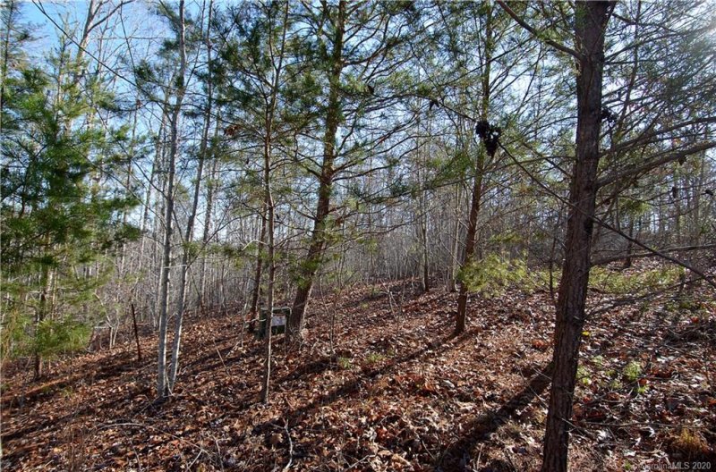 Property image 3 at 00 Darrow Drive, Nebo, NC 28761