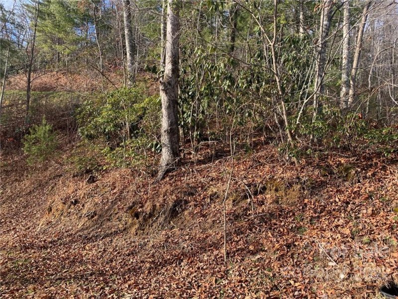 Property image 2 at Lot V29 Mystic River Village Way, Topton, NC 28781