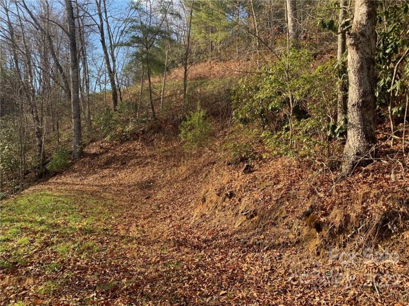 Property image 3 at Lot V29 Mystic River Village Way, Topton, NC 28781