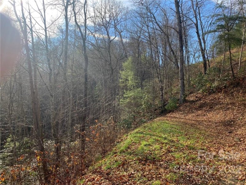 Property image 4 at Lot V29 Mystic River Village Way, Topton, NC 28781