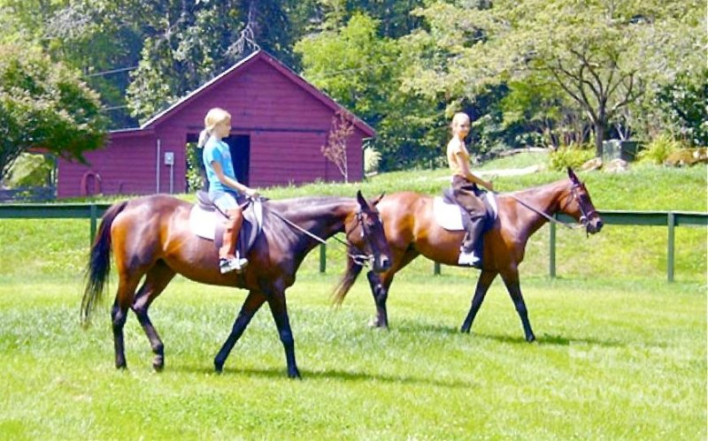 Property image 5 at Lot V29 Mystic River Village Way, Topton, NC 28781