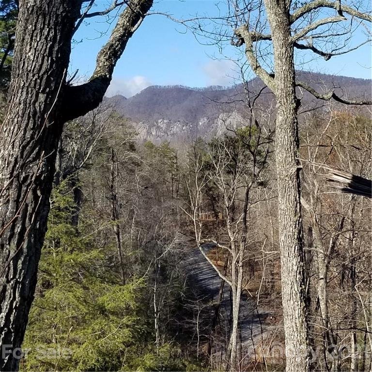 Property image 2 at 000 Lure Ridge Drive, Lake Lure, NC 28746