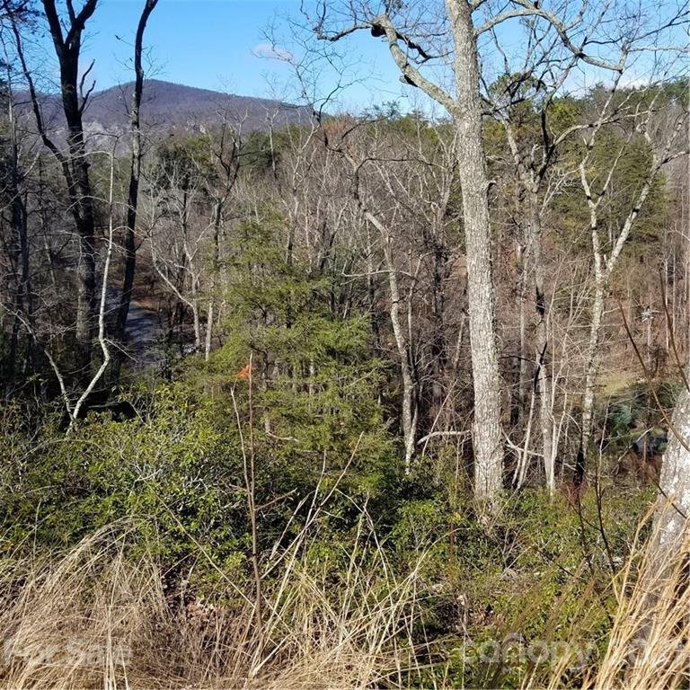 Property image 3 at 000 Lure Ridge Drive, Lake Lure, NC 28746