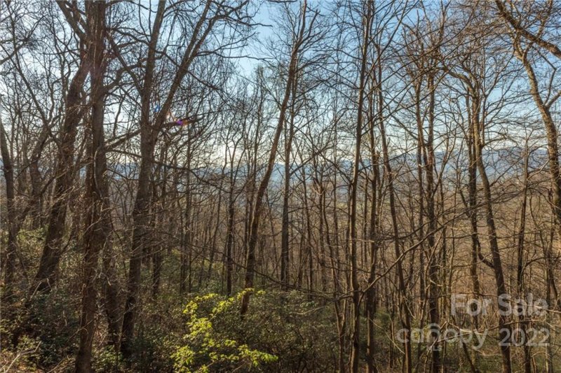 Property image 5 at Lot 924 Wedgewood Terrace, Black Mountain, NC 28711